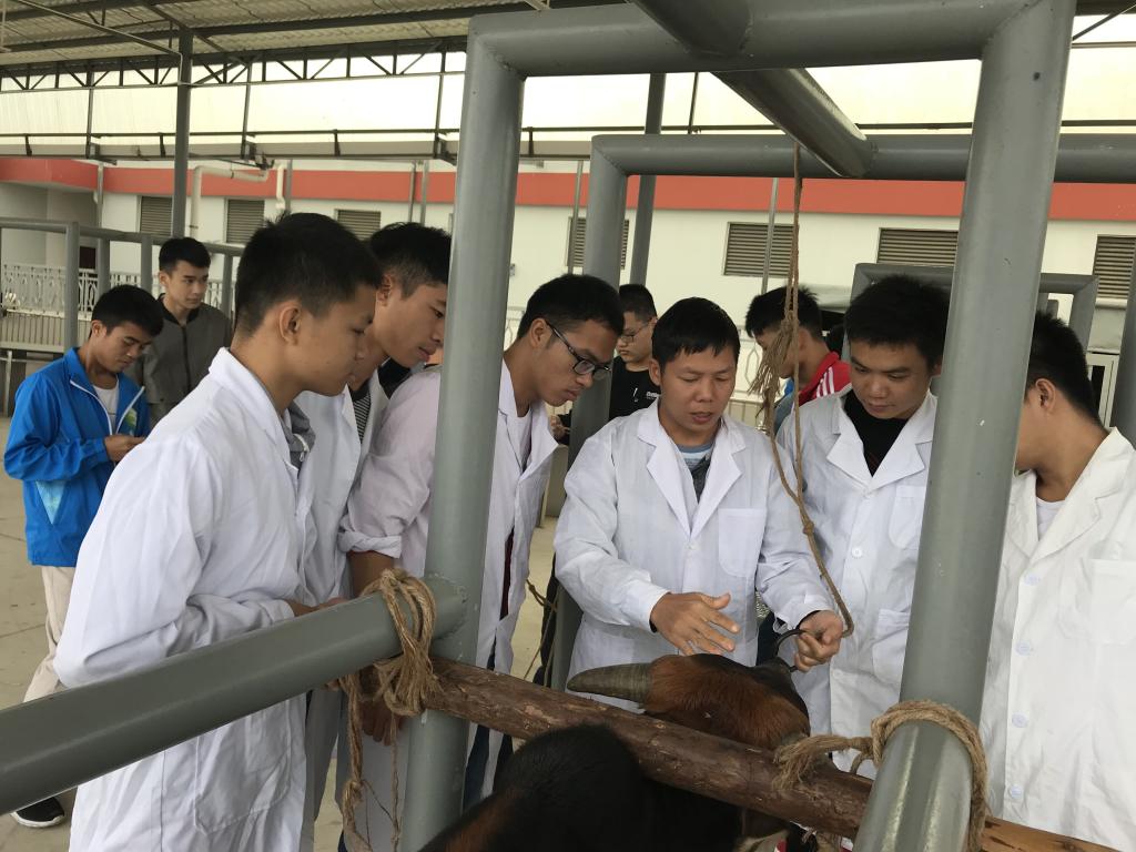 學畜牧技術(shù)，走致富之路——畜牧漁業(yè)飼料銷售的關(guān)鍵策略