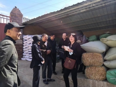 全國畜牧總站深入尋甸開展調研，共繪現代畜牧業與飼料銷售新藍圖