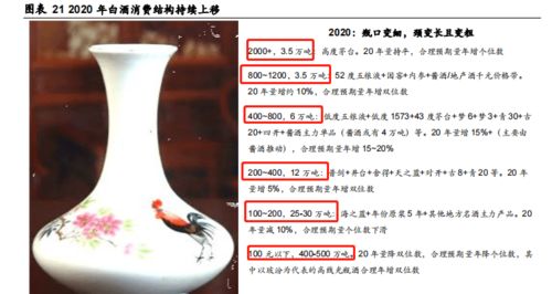 何以解憂 白酒消費邀您一醉