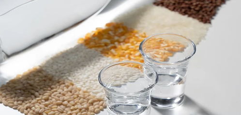 新周期之下,酒企如何找準場 找對人