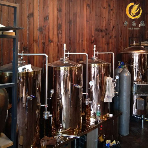 摩樂森告訴你如何選適合自已的精釀啤酒設備